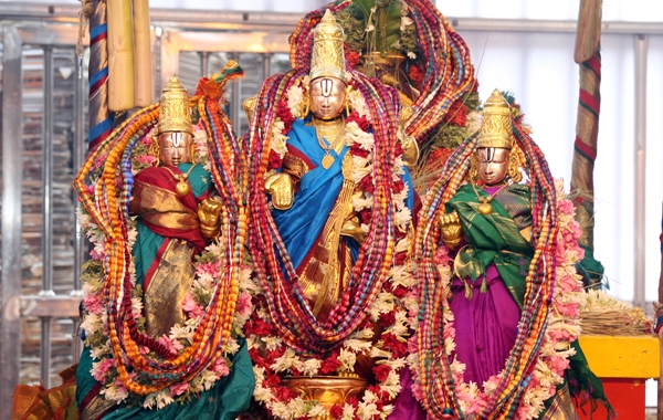 ఘనంగా పవిత్రోత్సవాలు