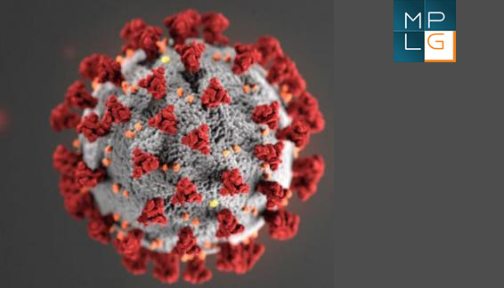 MPLG COVID-19 US Immigration Update