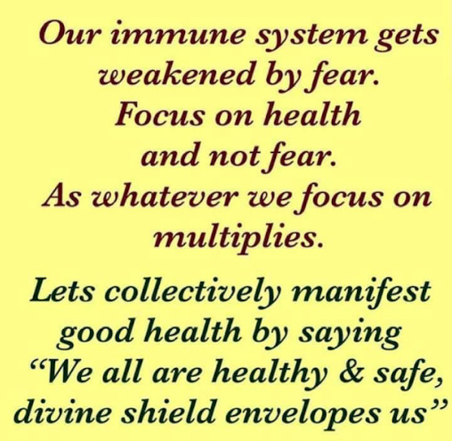 కోవిడ్‍ విపత్తు…చికాగో ఫ్రెండ్స్ సేవలు