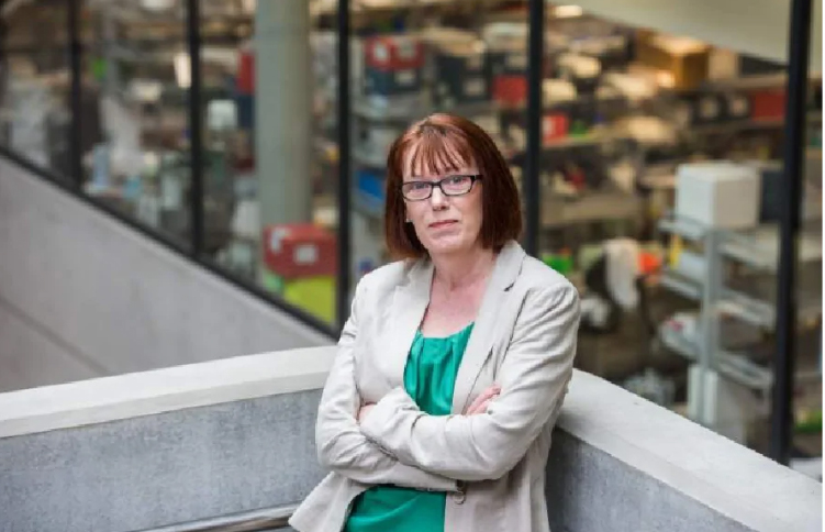 సెప్టెంబర్ నాటికి కరోనా వ్యాక్సిన్