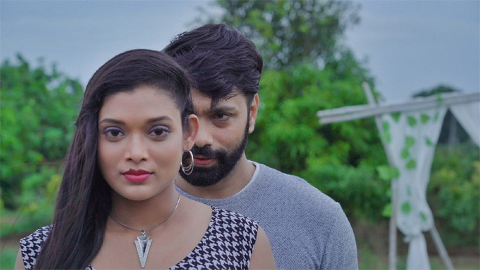 దామిని విల్లా లిరికల్ ట్రైలర్ 8న విడుదల