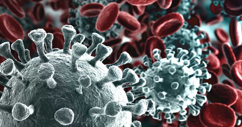 వచ్చే నెలలో కరోనా మరింత విజృంభణ