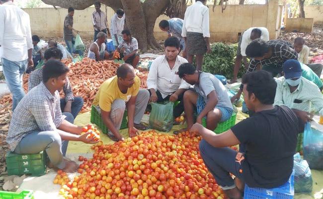రైతులపంటను కొన్న ఎన్ఆర్ఐలు రైతులపంటను కొన్న ఎన్ఆర్ఐలు