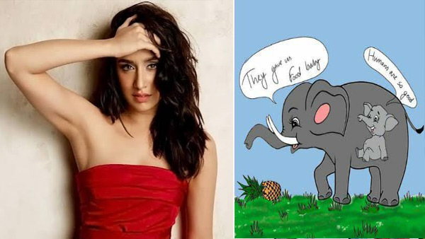 Shraddha Kapoor urges people to file the petition for strict actions against animal cruelty