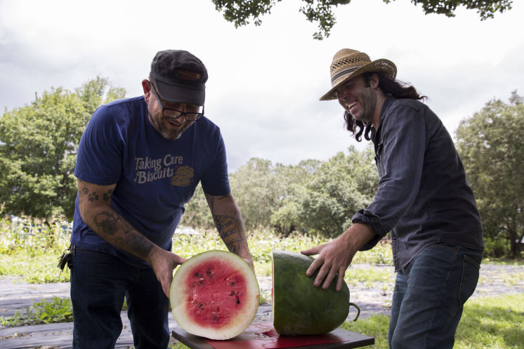 100 సంవత్సరాల తరువాత ఫ్లోరిడాలో పండిన పుచ్చకాయలు!