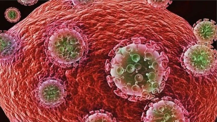 ఏపీలో 425 కరోనా కేసులు ఏపీలో 425 కరోనా కేసులు