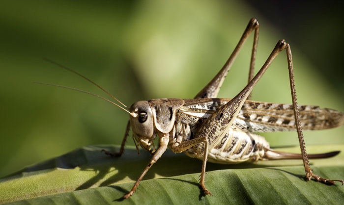 ఆ కంటైనర్‍ ను వెనక్కి పంపాం : అమెరికా