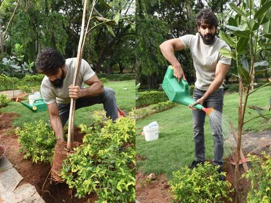 గ్రీన్ ఇండియా ఛాలెంజ్ లో భాగంగా మొక్కలు నాటిన సినిమా హీరో కార్తీకేయ