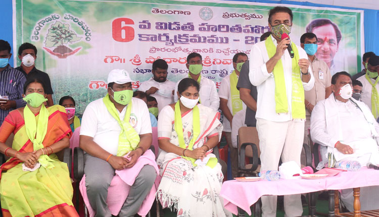 పర్యావరణ పరిరక్షణకు మొక్కలు నాటాలి : కేటీఆర్