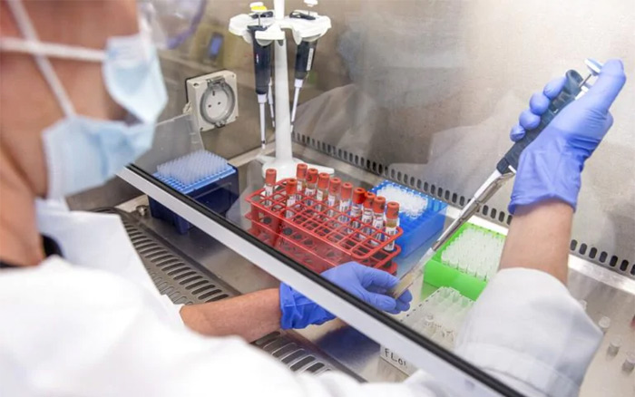 కొవిడ్ నుంచి ఎలుకలను రక్షించిన మోడెర్నా టీకా