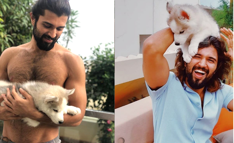 విజయ్ దేవరకొండ లాక్ డౌన్ స్పెషల్ లుక్స్