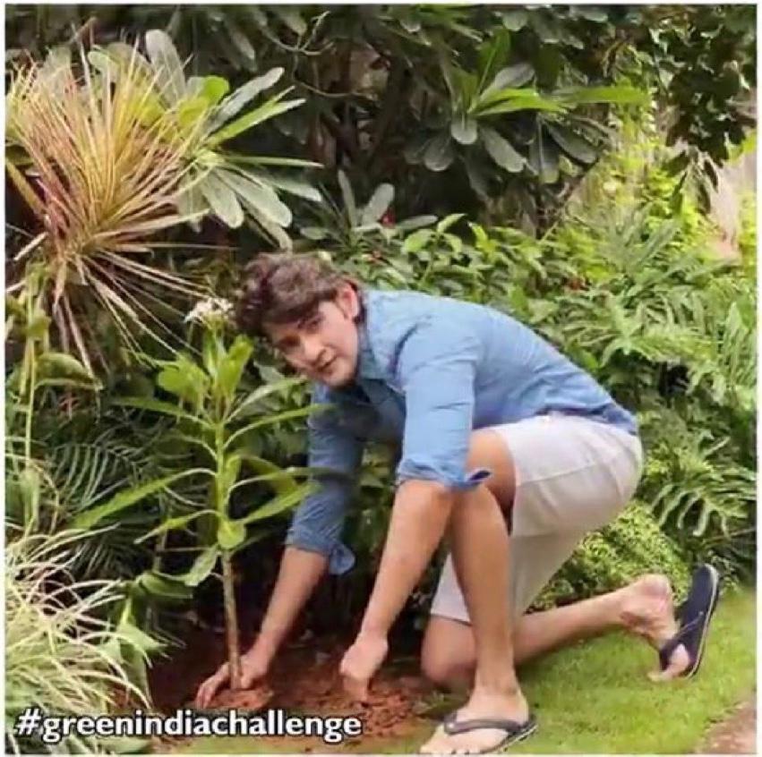 ‘గ్రీన్ ఇండియా ఛాలెంజ్’ అద్భుతమైన కార్యక్రమం – సూపర్ స్టార్  మహేష్ బాబు