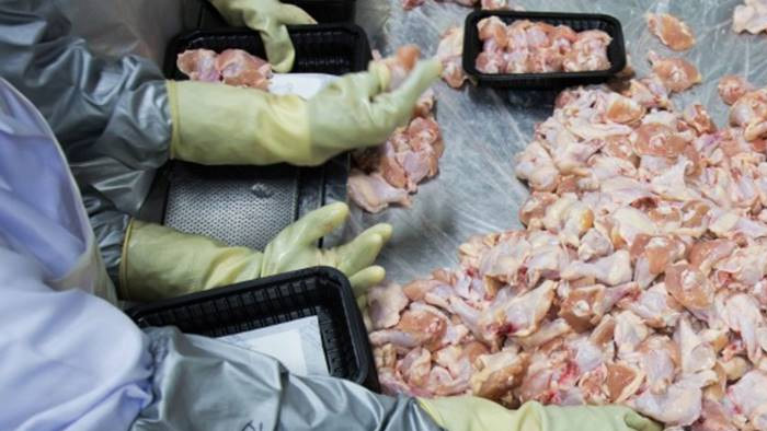 బ్రెజిల్ చికెన్ తో కరోనా