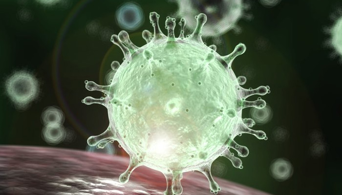 ఏపీలో కొత్తగా 9,742 కరోనా కేసులు