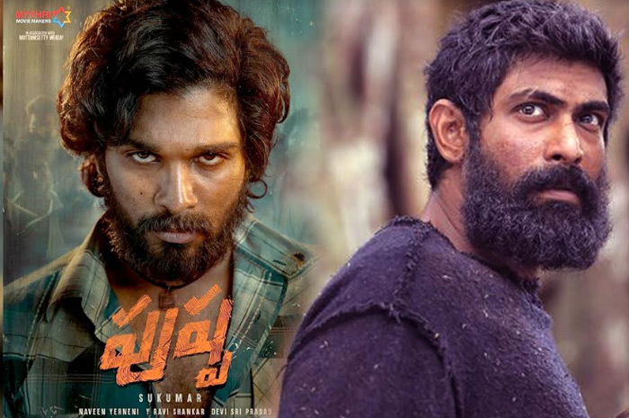 పుష్ప చిత్రం లో రానా విలనా?