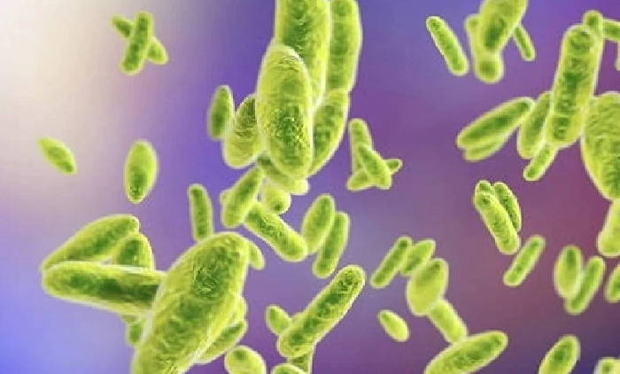 చైనాలో మరో  ప్రమాదకర వ్యాధి