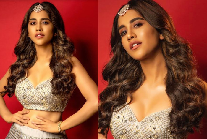 త్వరలోనే టాప్ లీగ్ లోకి  నభా నటేష్