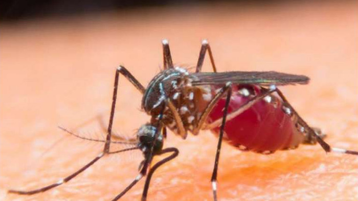 చైనా నుంచి మరో ప్రమాదకరమైన వైరస్