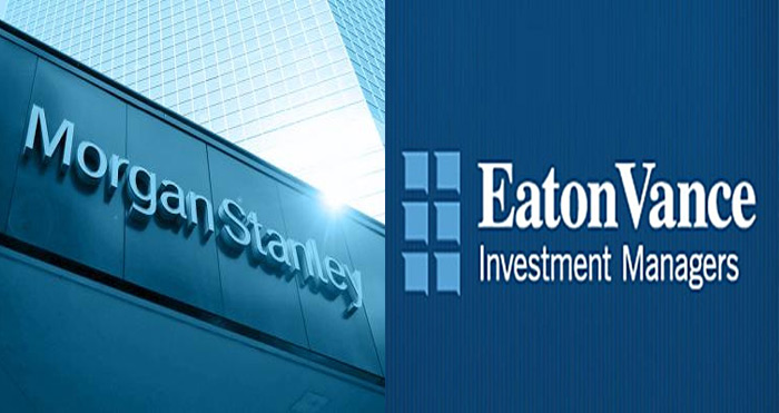 మోర్గాన్ చేతికి ఈటన్ వాన్స్