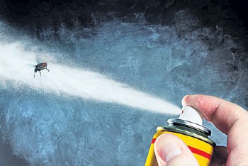 ఇంట్లో పురుగు మందుతో ఏడాది ముప్పు ఇంట్లో పురుగు మందుతో ఏడాది ముప్పు