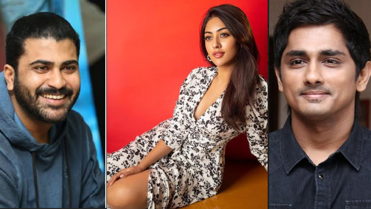 శ‌ర్వానంద్‌ ‘మ‌హాస‌ముద్రం’లో హీరోయిన్‌గా అను ఇమ్మాన్యుయేల్‌