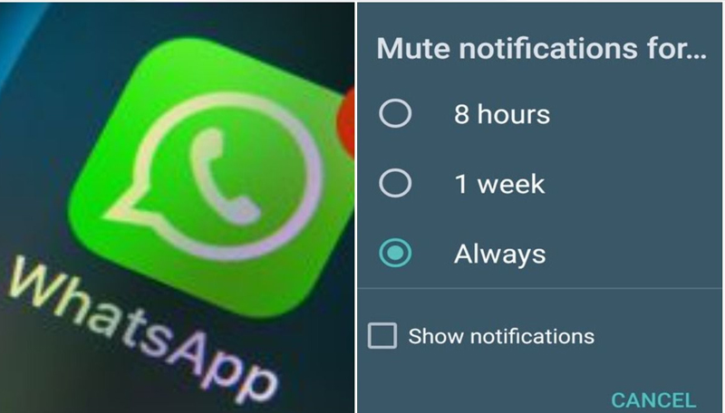 వాట్సాప్ వినియోగదారులకు శుభవార్త …