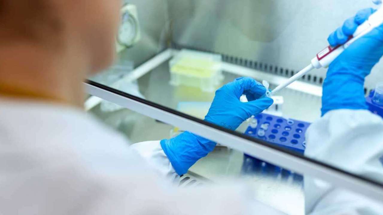 80 లక్షలకు చేరువలో కరోనా కేసులు 80 లక్షలకు చేరువలో కరోనా కేసులు