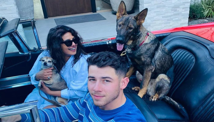 లాస్ ఏంజెల్స్ లో ప్రియాంక చోప్రా చక్కర్లు