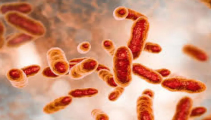 చైనాలో మరో కొత్త వైరస్…