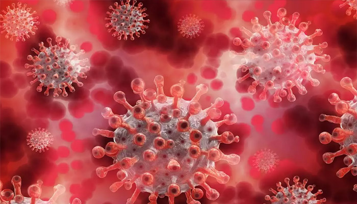 5 కోట్లు దాటిన కేసులు