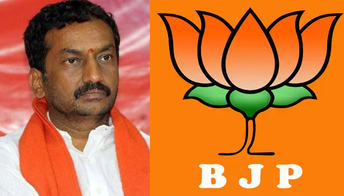 దుబ్బాక ఉపఎన్నికల్లో బిజెపి విజయం