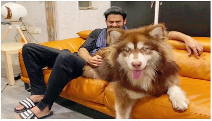 పూరి ఆఫీస్ లో రెబెల్ స్టార్ ప్రభాస్