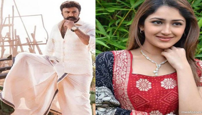 బాలకృష్ణ బోయపాటి ల  BB3 చిత్రంలో అఖిల్ హీరోయిన్ సాయేషా సైగల్