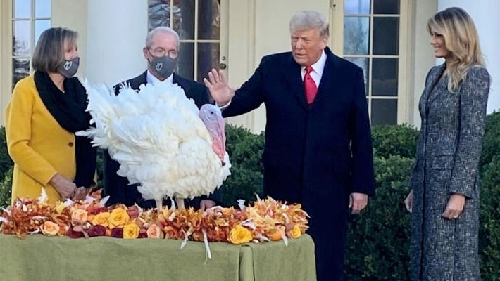 టర్కీ కోడికి డొనాల్డ్ ట్రంప్ క్షమాభిక్ష టర్కీ కోడికి డొనాల్డ్ ట్రంప్ క్షమాభిక్ష