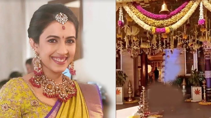 ‘నిహారిక’ పెళ్లి కూతురాయెనే…