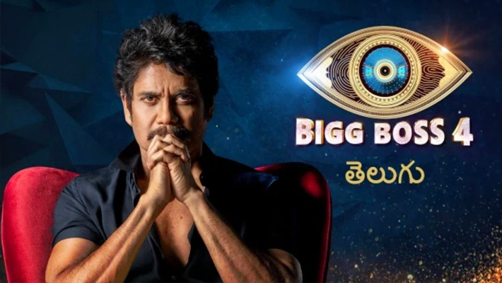 బిగ్ బాస్ సీజన్ 4 విజేత ఎవరు?