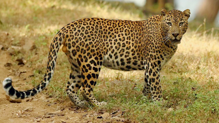 ఇదో గొప్ప న్యూస్ .. ప్రధాని మోదీ హర్షం