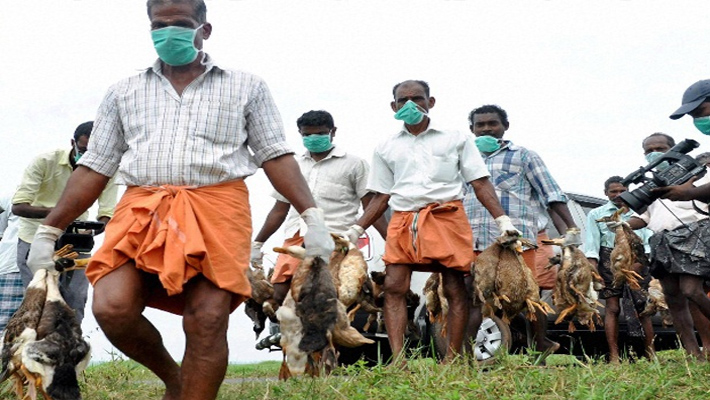 దేశంలో మళ్లీ బర్డ్ ప్లూ వైరస్ …