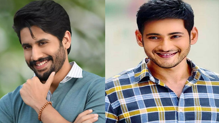 మహేశ్ బాబు అభిమాన సంఘం అధ్యక్షుడిగా నాగచైతన్య?