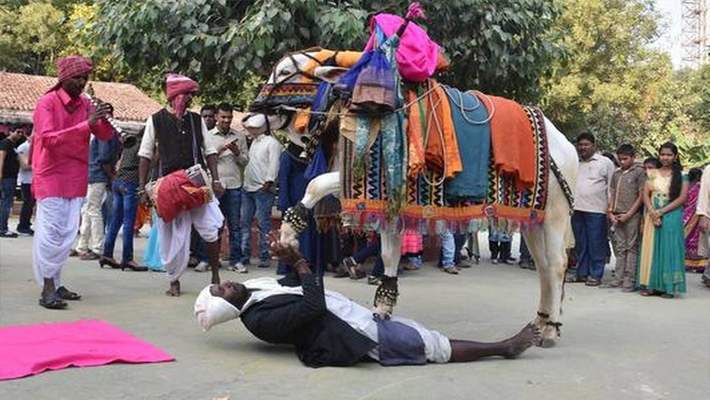శిల్పారామంలో సంక్రాంతి సంబరాలు