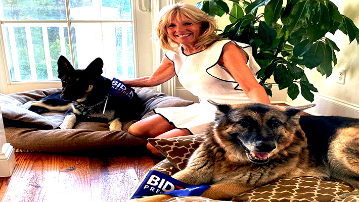 వైట్హౌస్లో పెంపుడు జంతువుల సందడి! వైట్హౌస్లో పెంపుడు జంతువుల సందడి!