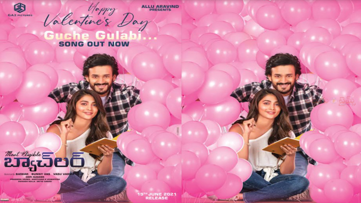 అరె గుచ్చే గులాబిలాగా నా గుండె లోతునే తాకినిదే అంటూ విభ కొసం పాడుతున్న అఖిల్ అక్కినేని