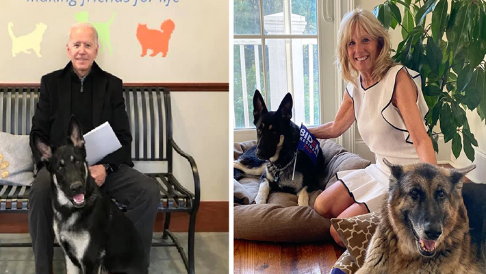 తన శునకాలను  వైట్‍హౌజ్‍ నుంచి పంపించేసిన అధ్యక్షుడు