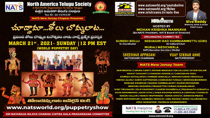 నాట్స్ తోలు బొమ్మలాట