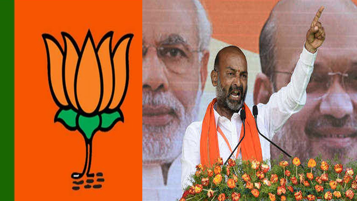 బీజేపీ దూకుడును ఓటర్లు సహించలేకపోయారా..?