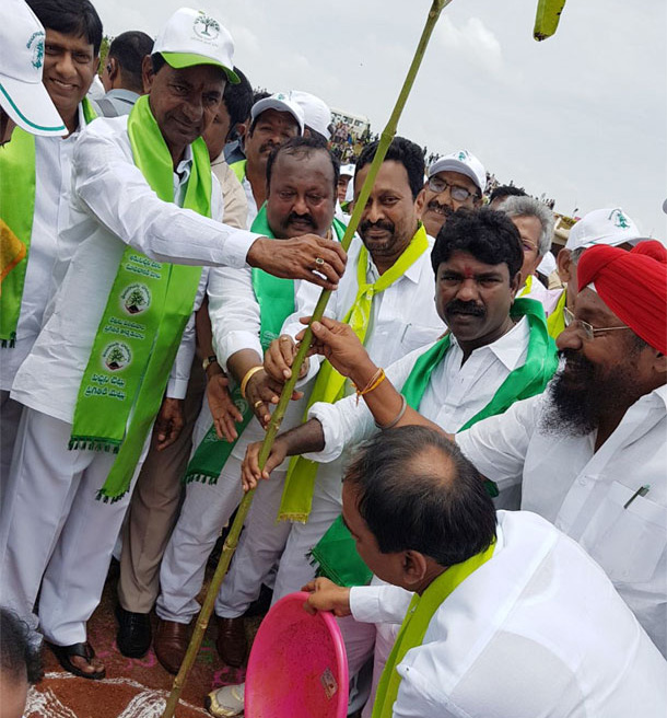 హరితహారానికి శ్రీకారం చుట్టిన కేసీఆర్‌