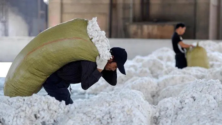 భారత్ విషయంలో.. పాకిస్థాన్ కీలక నిర్ణయం