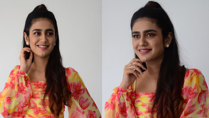 అన్ని సినిమాలు ఆడవు ఫెయిల్యూర్స్ నుంచే మనం ఎక్కువ నేర్చుకోగలం : ప్రియా ప్రకాశ్ వారియర్ అన్ని సినిమాలు ఆడవు ఫెయిల్యూర్స్ నుంచే మనం ఎక్కువ నేర్చుకోగలం : ప్రియా ప్రకాశ్ వారియర్