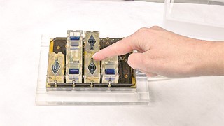 మినీ త్రీడీ ద్వారా స్త్రీ ప్రత్యుత్పత్తి వ్యవస్థ!