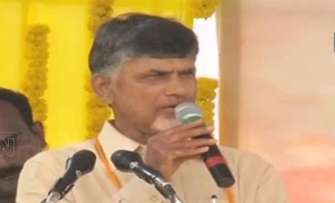 త్వరలో జాతీయ, రాష్ట్ర కమిటీలు : చంద్రబాబు